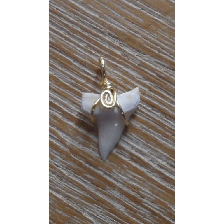 Pendentif 2 dent de requin mako