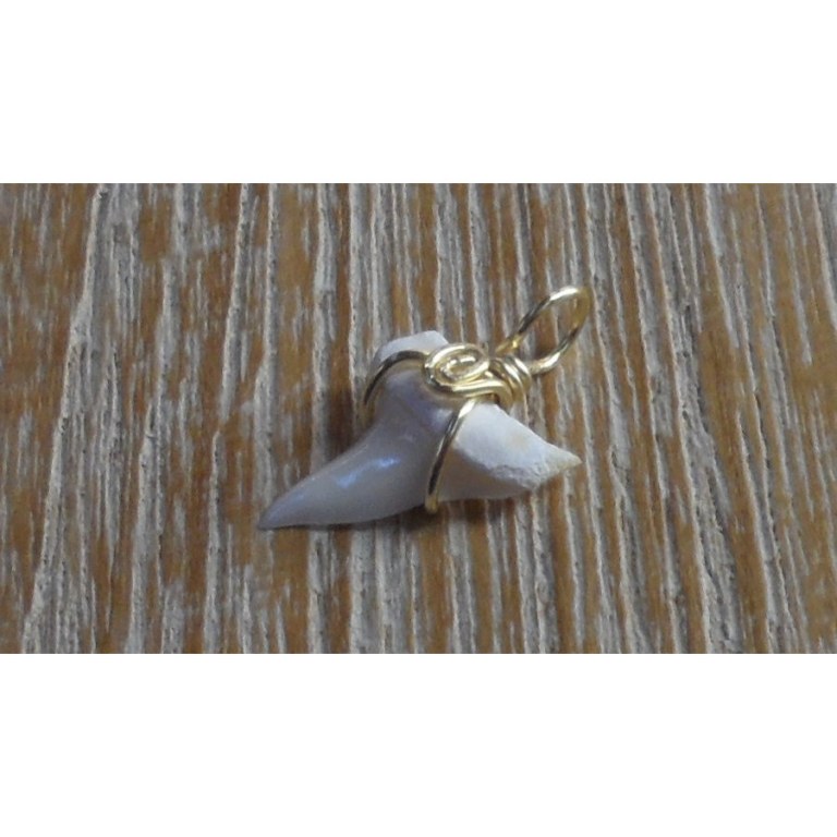 Pendentif 2 dent de requin mako