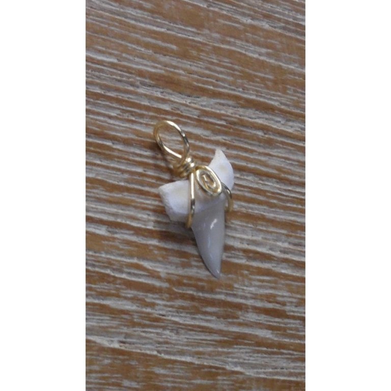 Pendentif 2 dent de requin mako