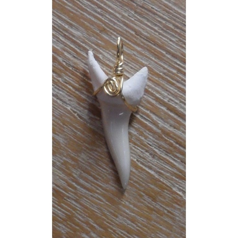 Pendentif 3 dent de requin mako