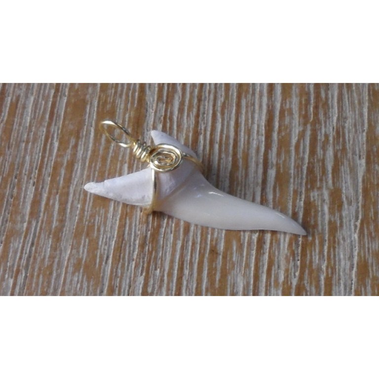 Pendentif 3 dent de requin mako