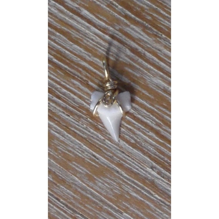 Pendentif 5 mini dent de requin mako