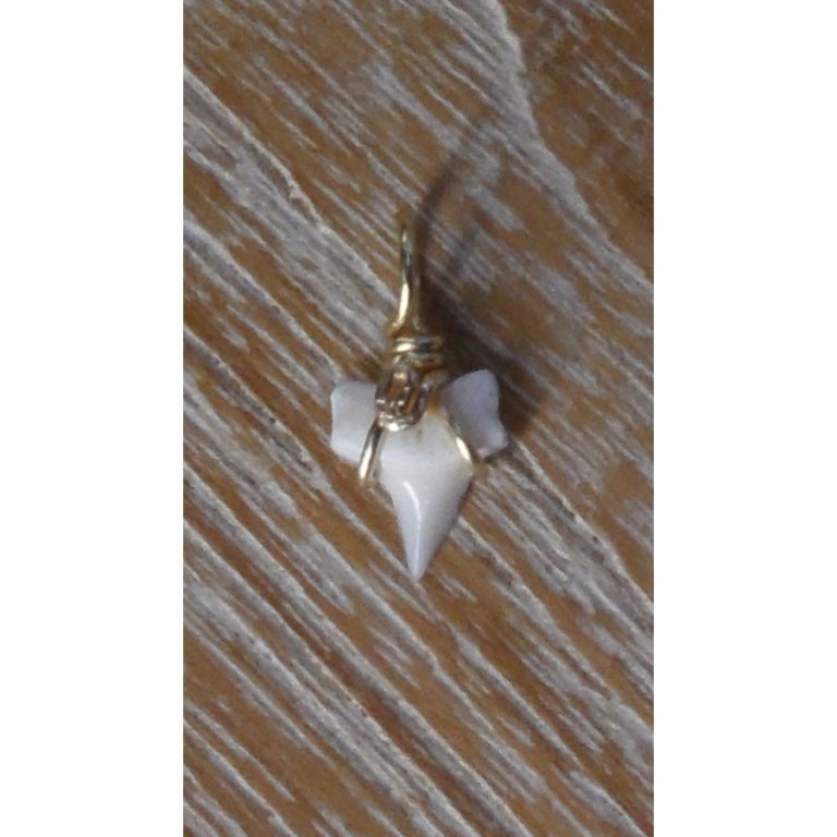 Pendentif 6 mini dent de requin mako