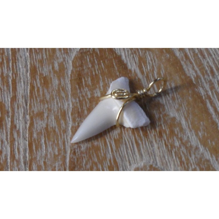 Pendentif 7 dent de requin mako