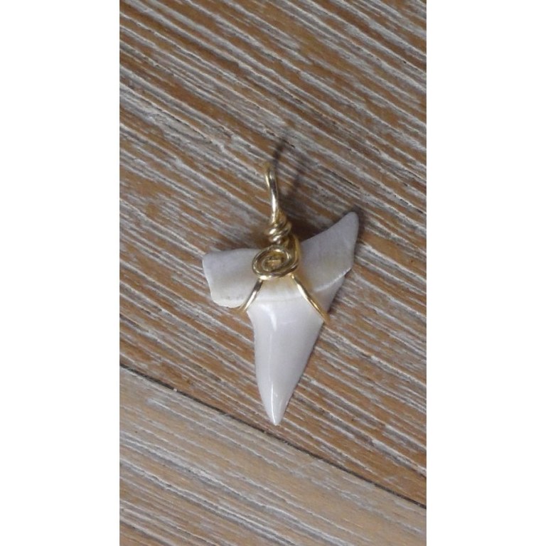 Pendentif 8 dent de requin mako