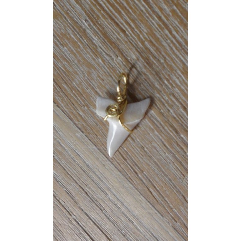 Pendentif 8 dent de requin mako