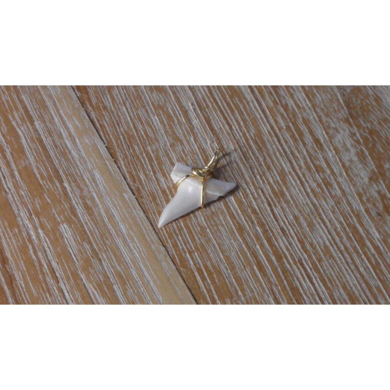 Pendentif 8 dent de requin mako