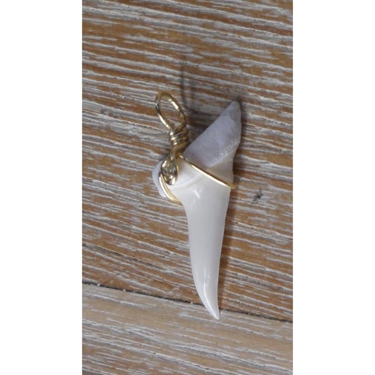Pendentif 9 dent de requin mako