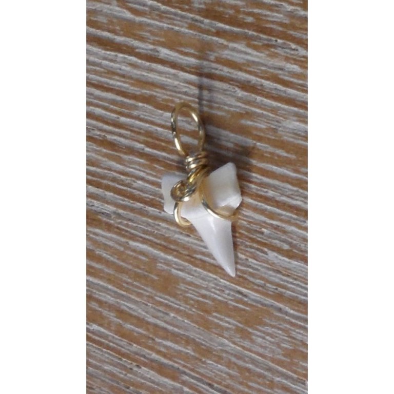 Pendentif 11 petite dent de requin mako