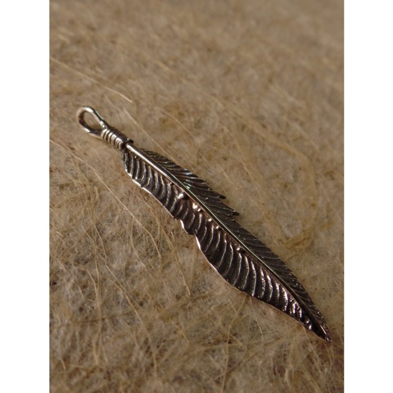 Pendentif plume