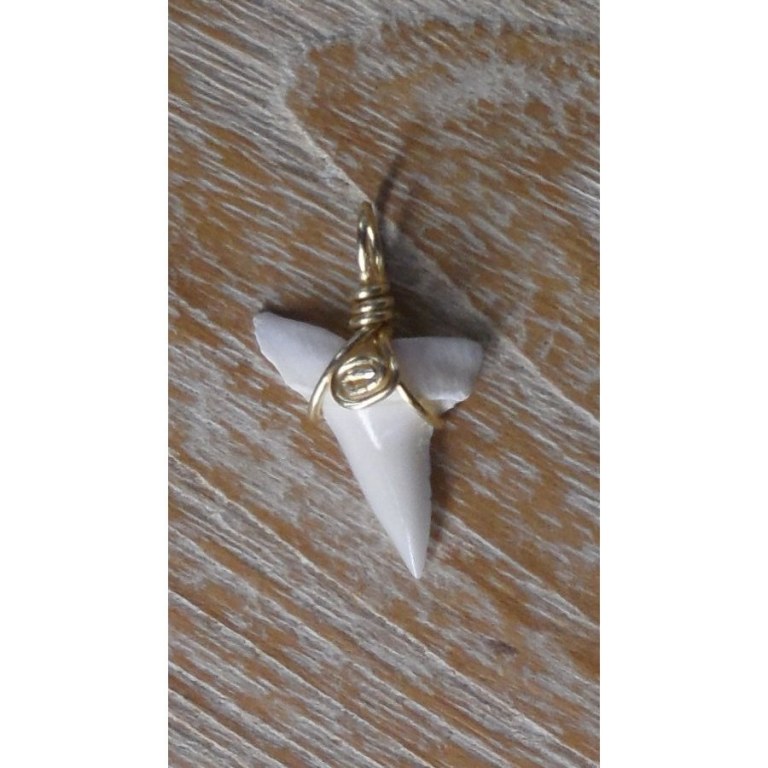 Pendentif 14 dent de requin mako