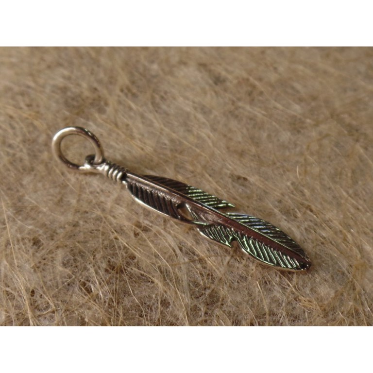 Pendentif jolie plume