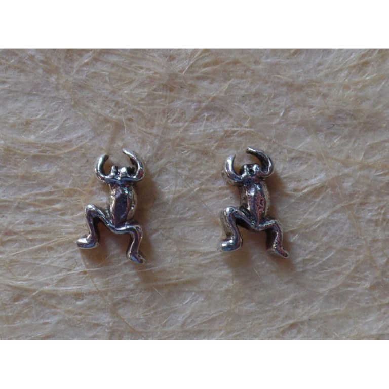 Clous d'oreilles grenouille