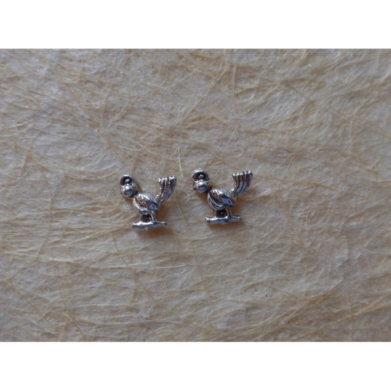 Clous d'oreilles oiseau