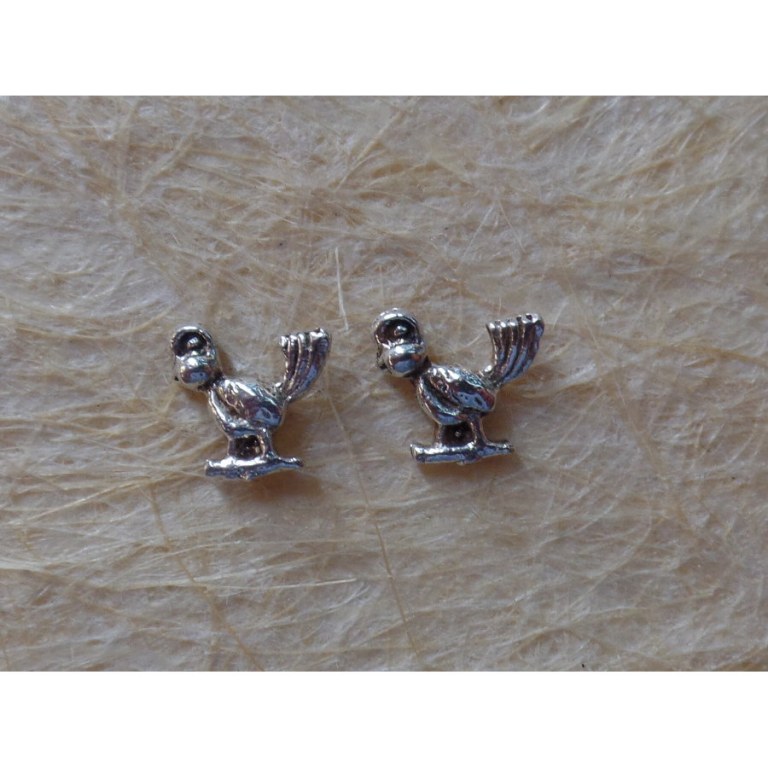 Clous d'oreilles oiseau