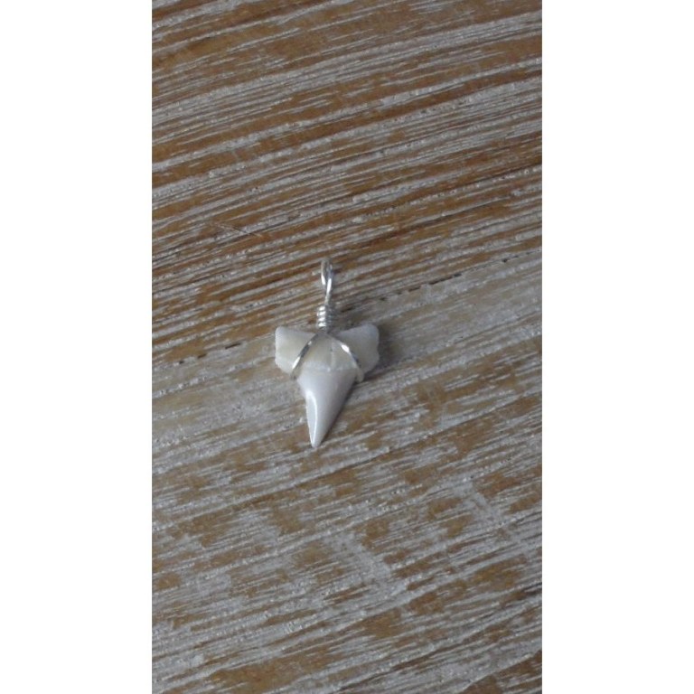 Pendentif mini dent de requin mako 3