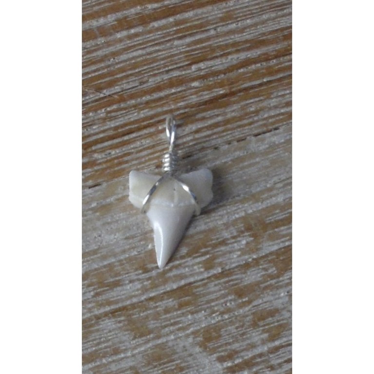 Pendentif mini dent de requin mako 3