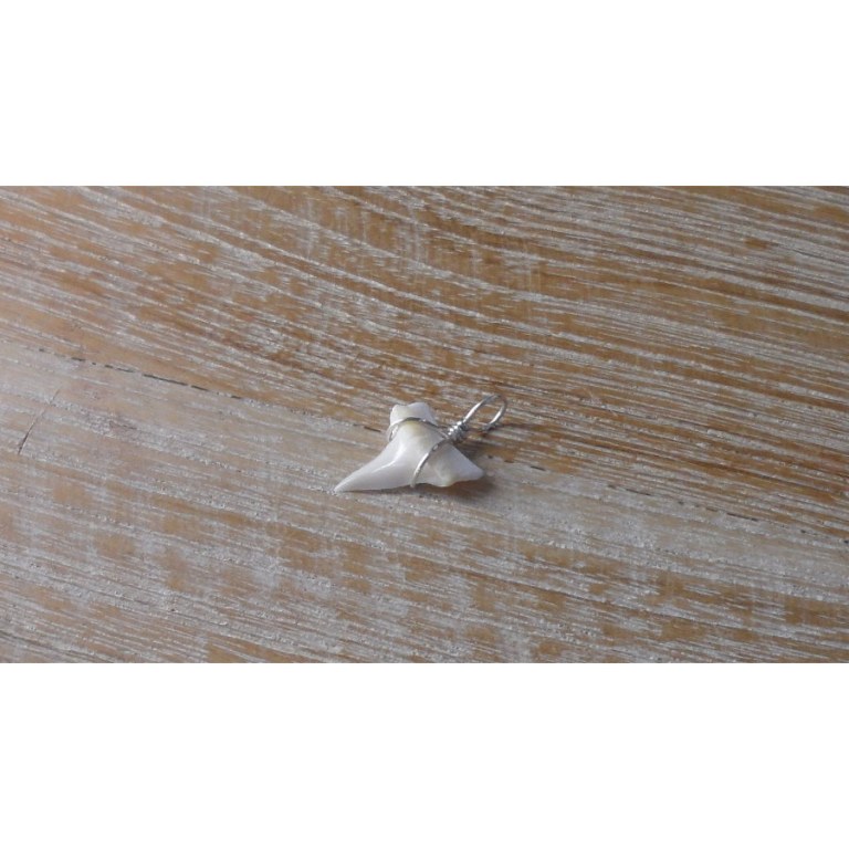 Pendentif petite dent de requin mako 5