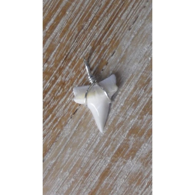 Pendentif petite dent de requin mako 5