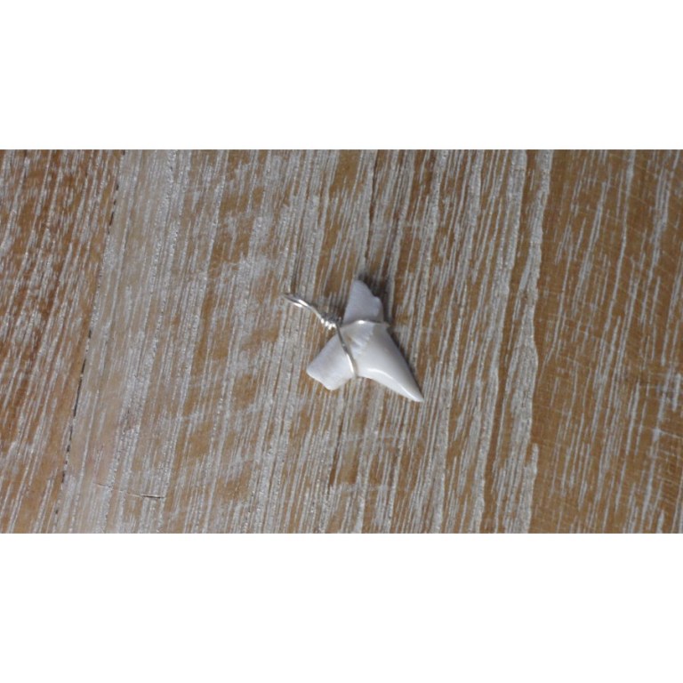 Pendentif petite dent de requin mako 7