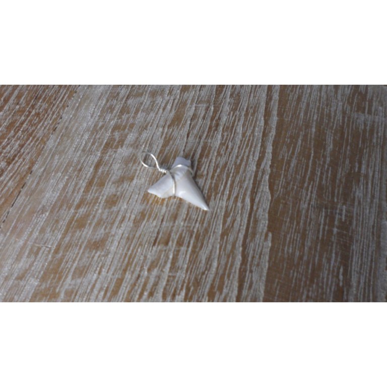 Pendentif petite dent de requin mako 7