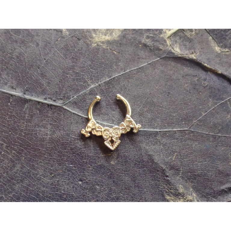 Bijou septum volute