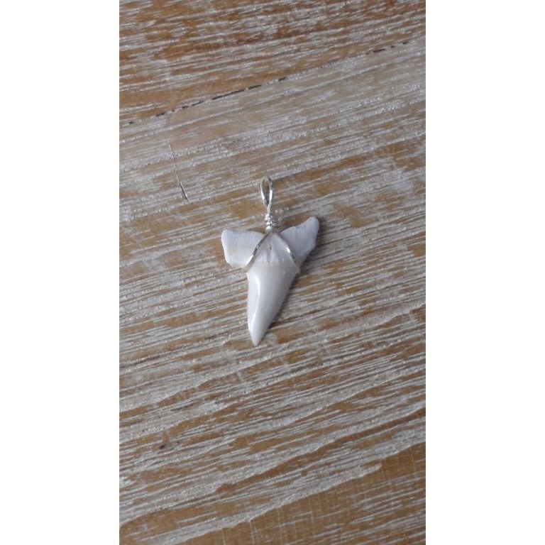 Pendentif petite dent de requin mako 9