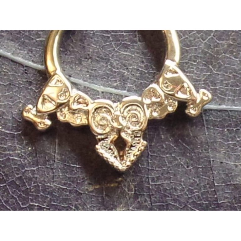 Bijou septum volute