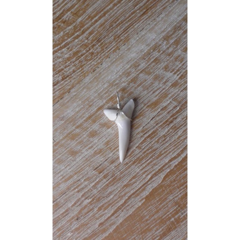 Pendentif dent de requin mako