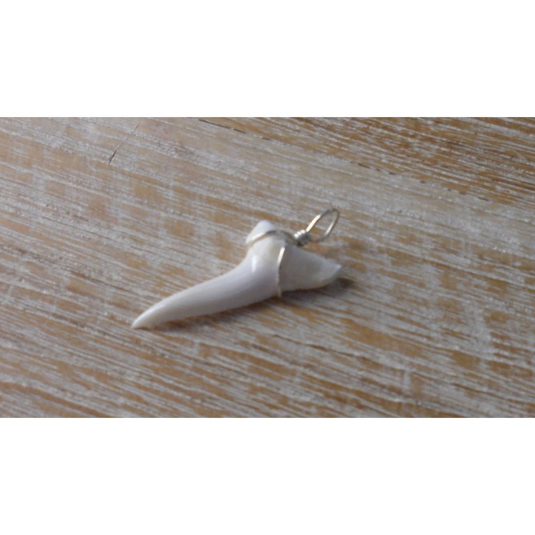 Pendentif dent de requin mako