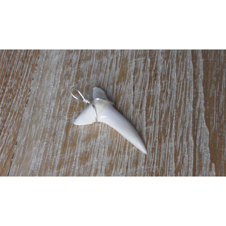 Pendentif dent de requin mako