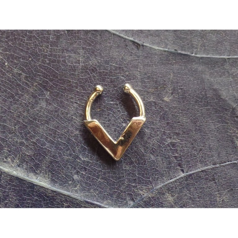 Bijou septum V