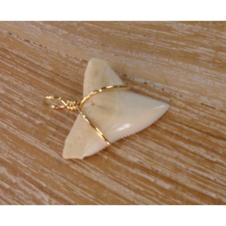 Pendentif A dent de requin blanc