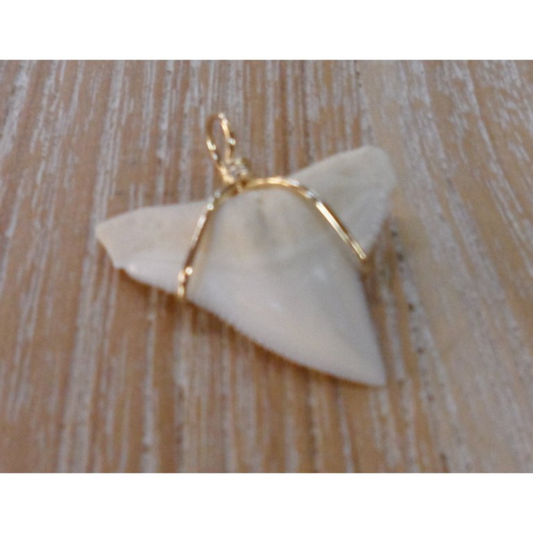 Pendentif A dent de requin blanc