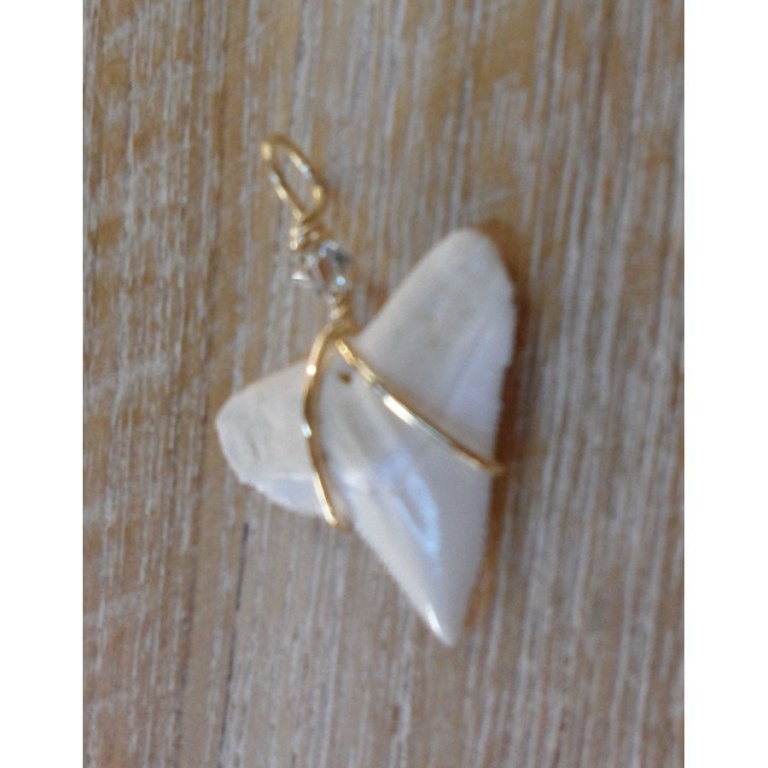 Pendentif D dent de requin blanc