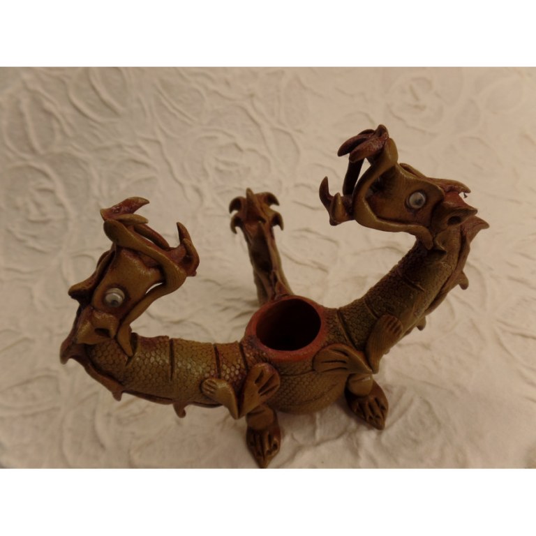 Pipe dragons siamois