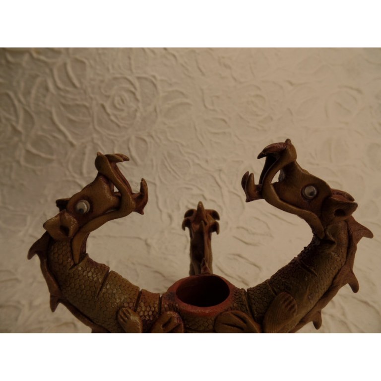 Pipe dragons siamois