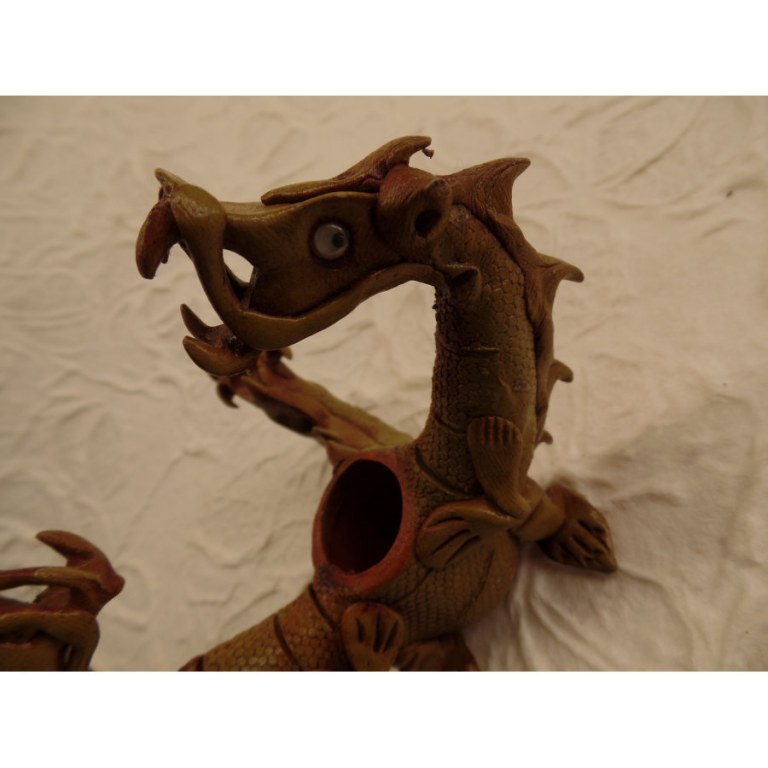 Pipe dragons siamois