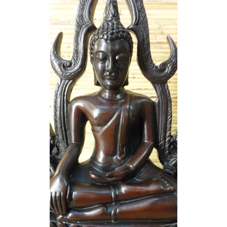 Bouddha bhumisparsha mudra 