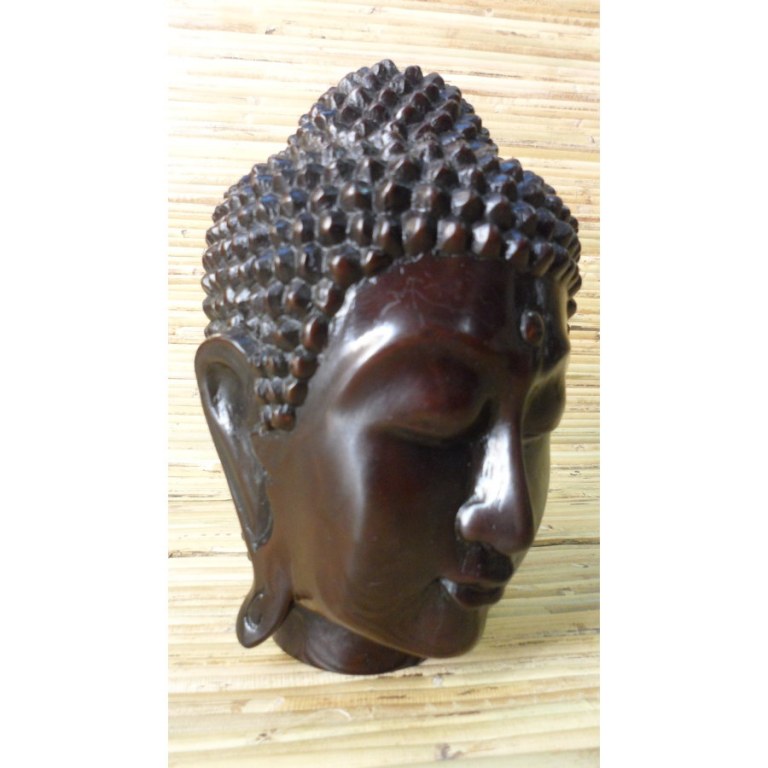 Tête de Bouddha 1