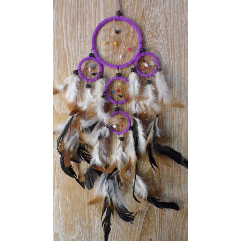 Dreamcatcher violet abbona