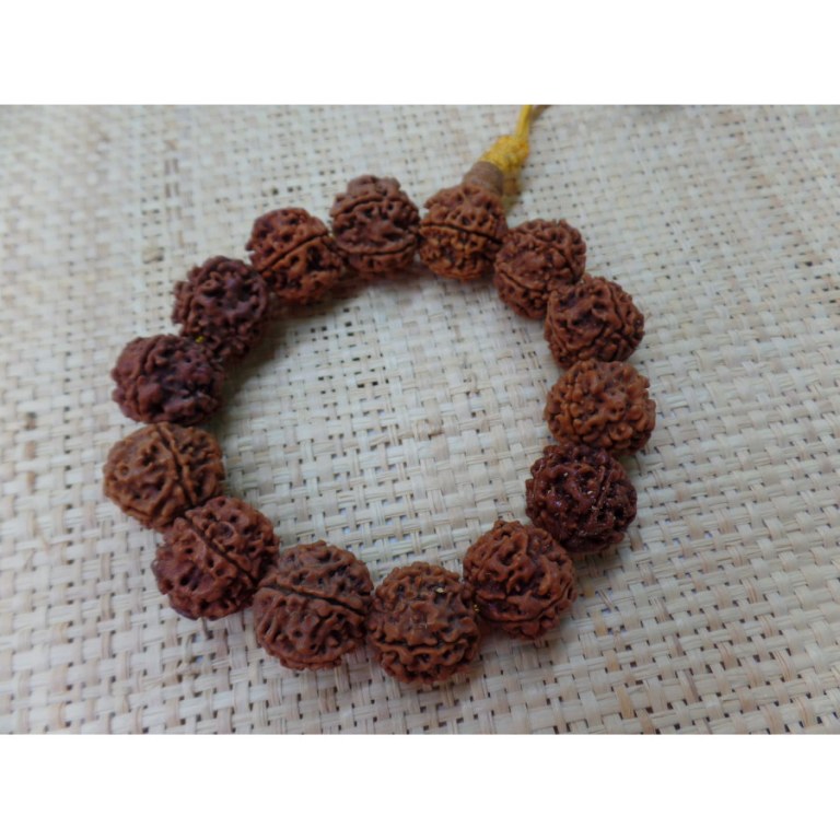 Bracelet mala rudraksha