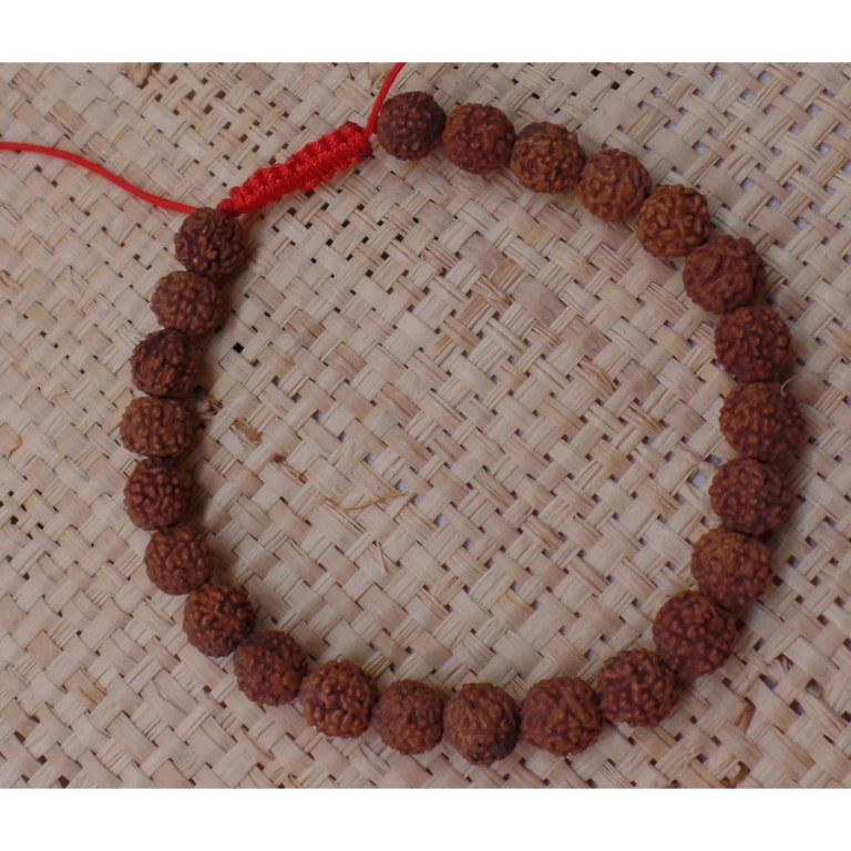 Bracelet mala 24 perles rudraksha