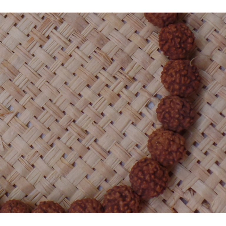 Bracelet mala 24 perles rudraksha