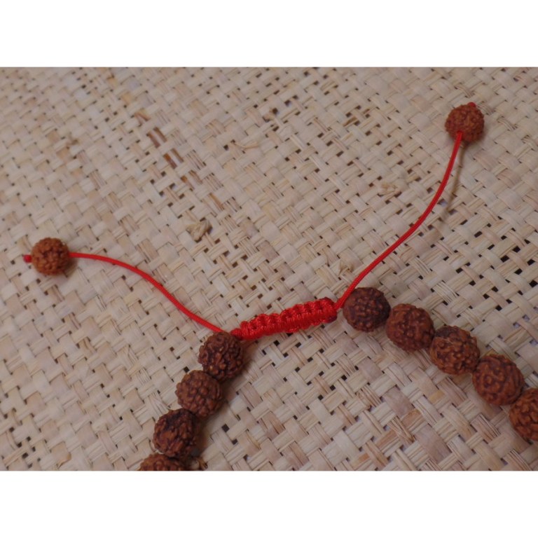 Bracelet mala 24 perles rudraksha