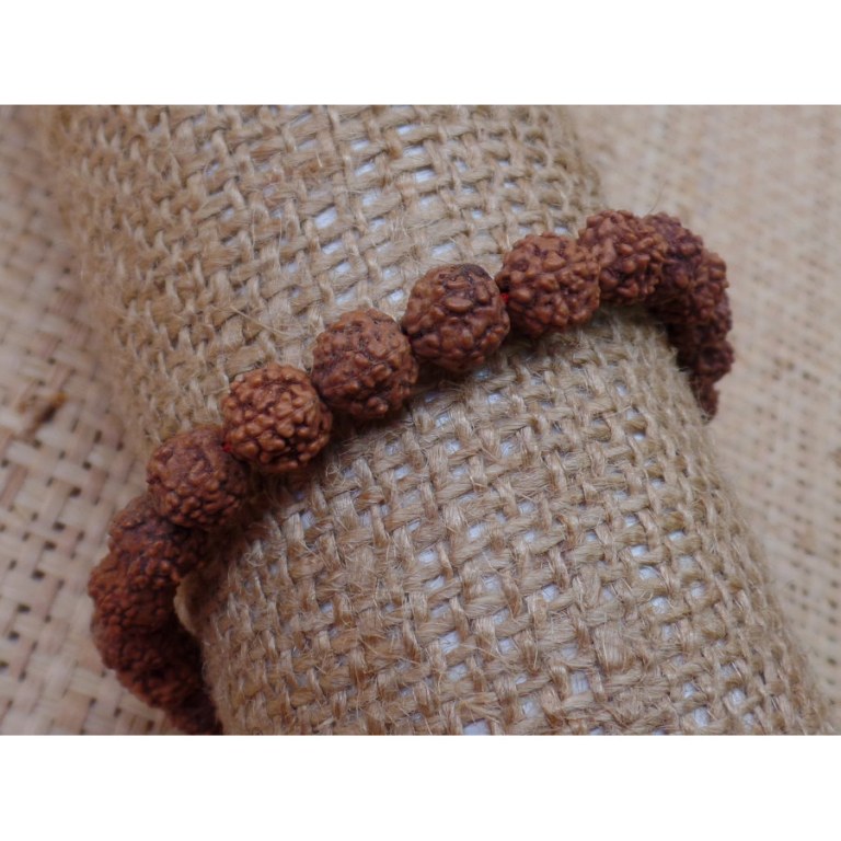 Bracelet mala 24 perles rudraksha