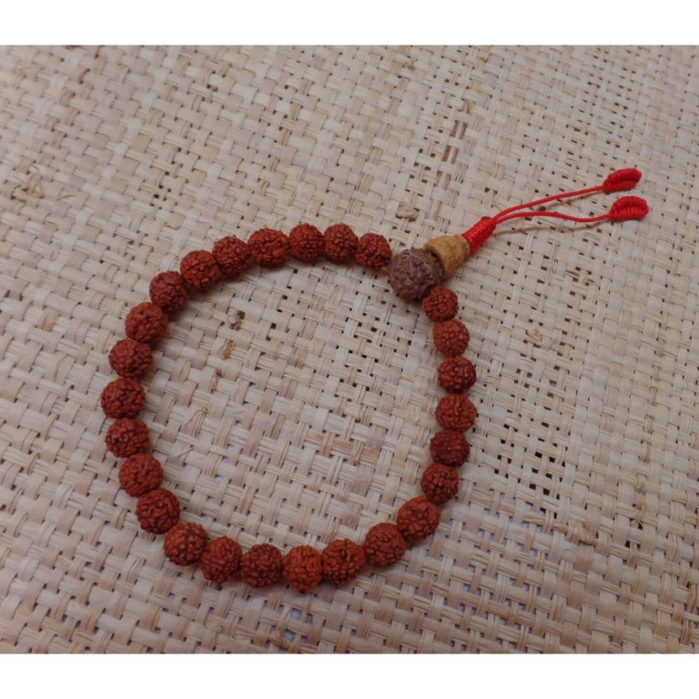 Bracelet mala 27 perles rudraksha