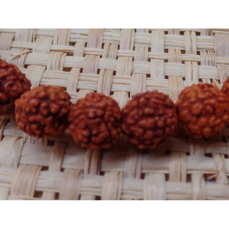 Bracelet mala 27 perles rudraksha