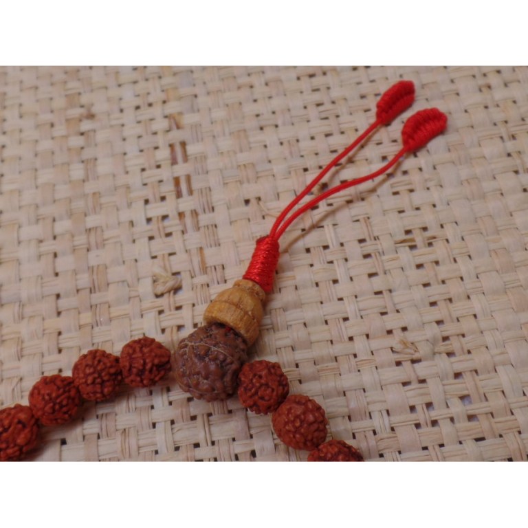 Bracelet mala 27 perles rudraksha