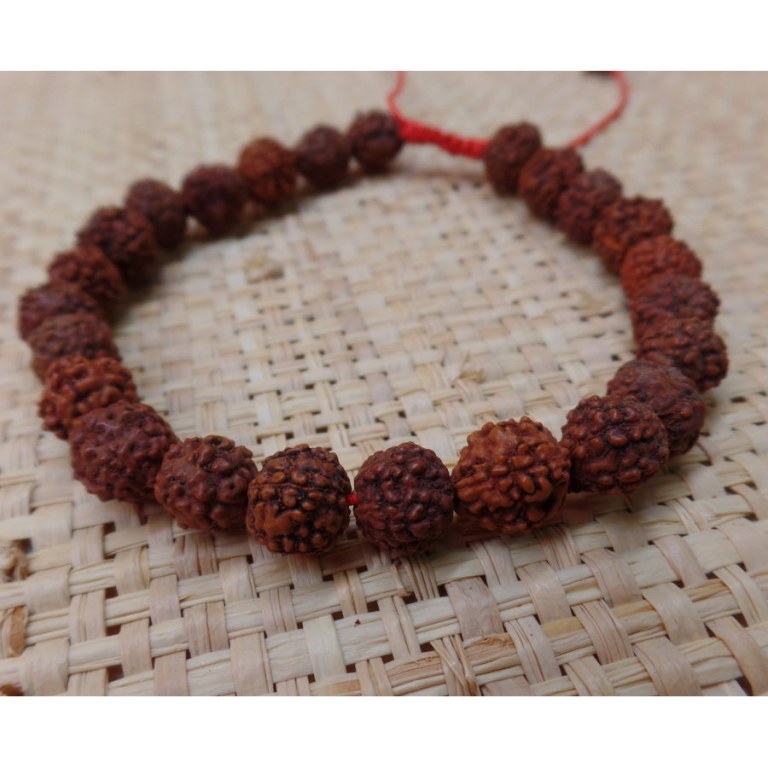 Bracelet mala 24 perles rudraksha 2